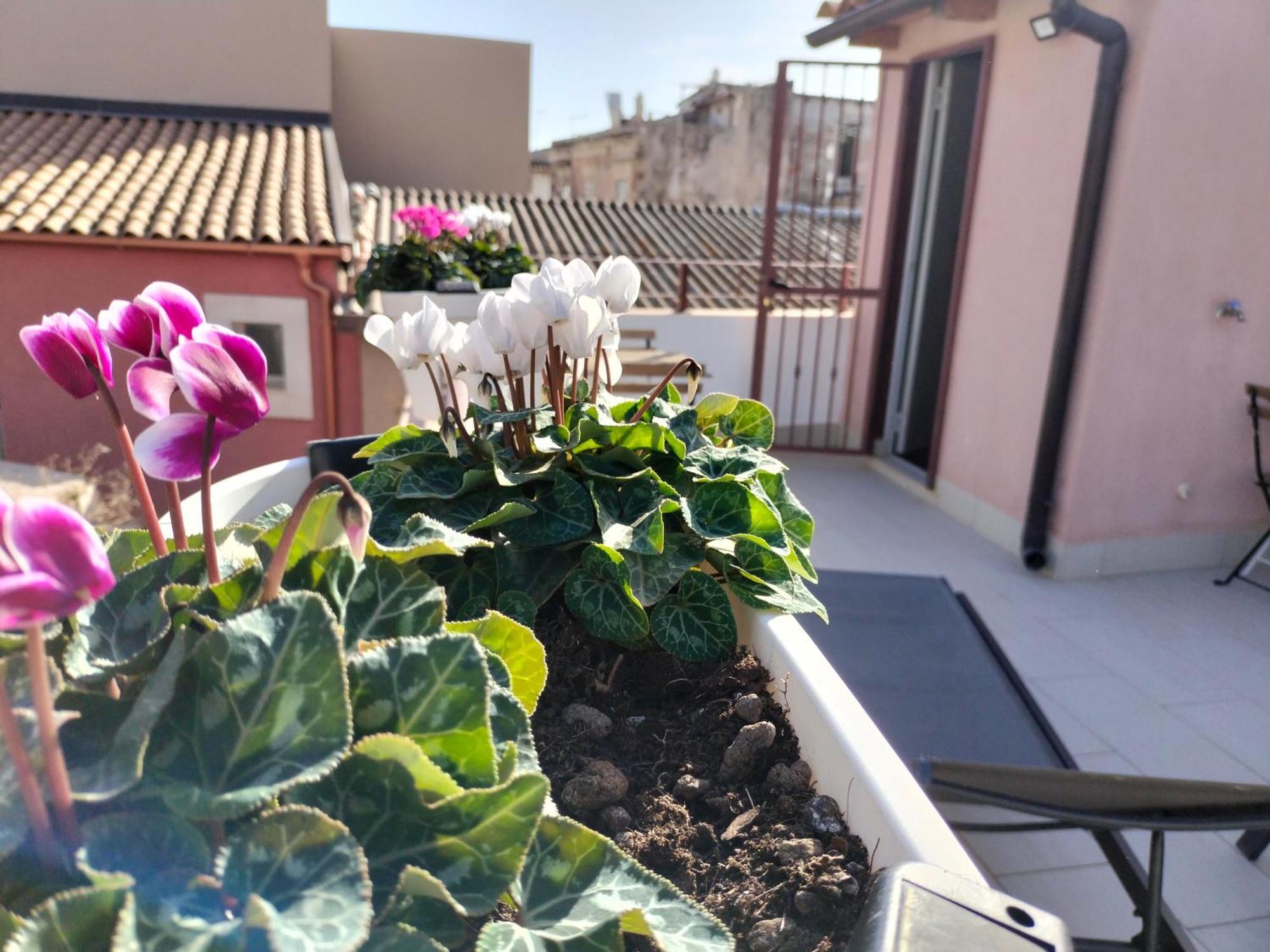 Krokos Ortigia Holiday home