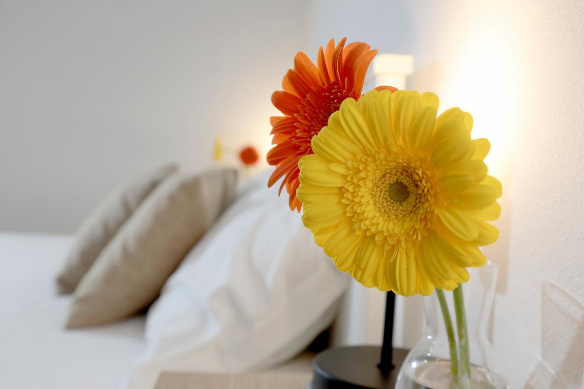 Holiday home Krokos Ortigia *